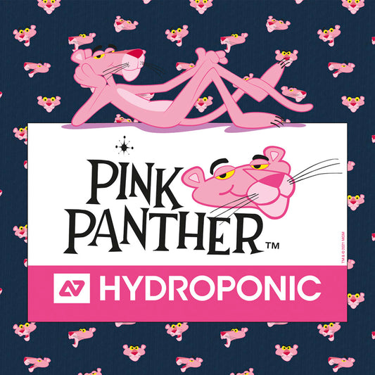 HYDROPONIC PIXIE PINK PANTHER WHITE LONGBOARD COMPLETE 43.5"
