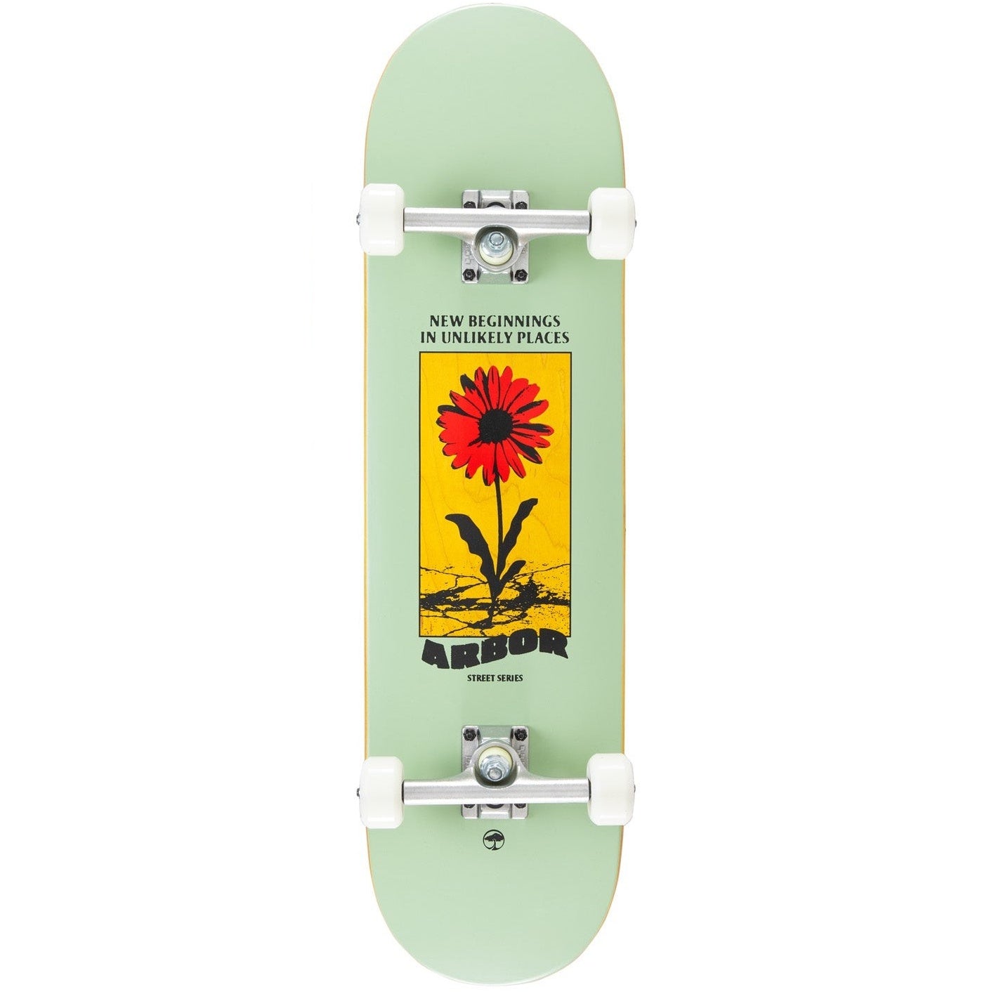 ARBOR DAISY COMPLETE 8.25