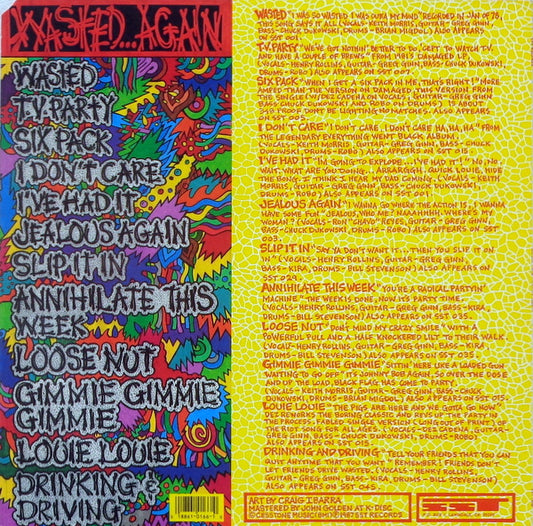 Black Flag–Wasted...Again 2nd Hand
