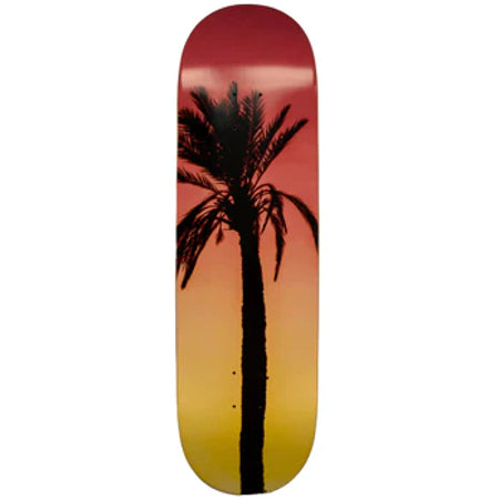 TRUE SOLDIERS PRODUCTIONS PALM 8.5