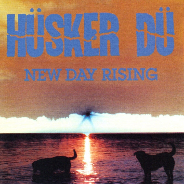 Husker Du-New Day Rising - Skateboards Amsterdam