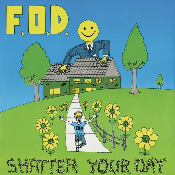 Flag Of Democracy-Shatter Your Day