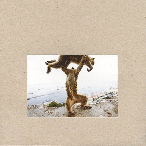 Shellac-Dude Incredible