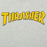THRASHER COVER LOGO T-SHIRT ASH GREY