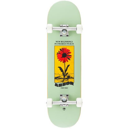 ARBOR DAISY COMPLETE 8.25