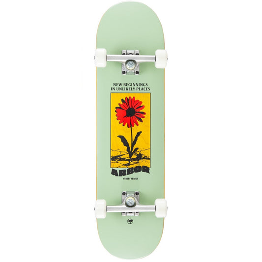 ARBOR DAISY COMPLETE 8.25