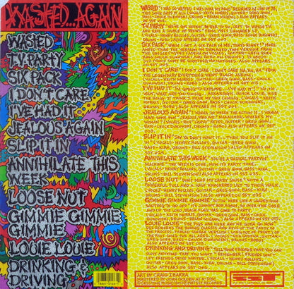 Black Flag–Wasted...Again 2nd Hand