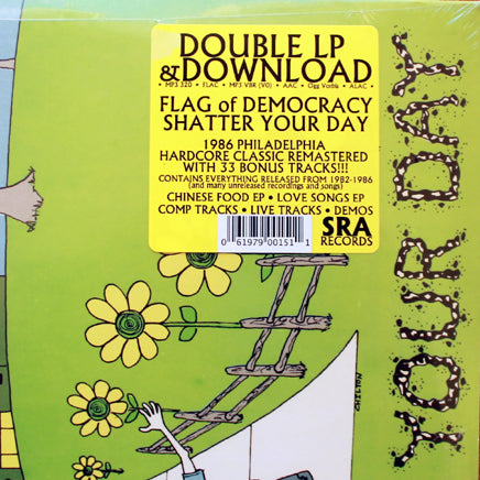 Flag Of Democracy-Shatter Your Day