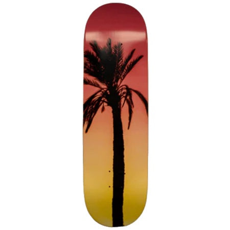 TSP AMSTERDAM PALM 8.5 -MADE IN MEXICO-