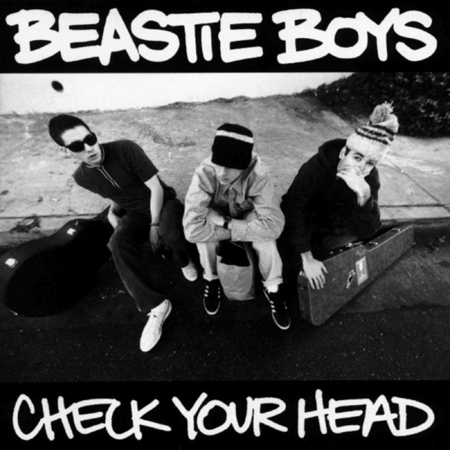 Beastie Boys-Check Your Head 2LP - Skateboards Amsterdam