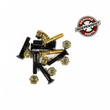 INDEPENDENT CROSS BOLTS 7/8 PHILLIPS HEAD BLACK/GOLD