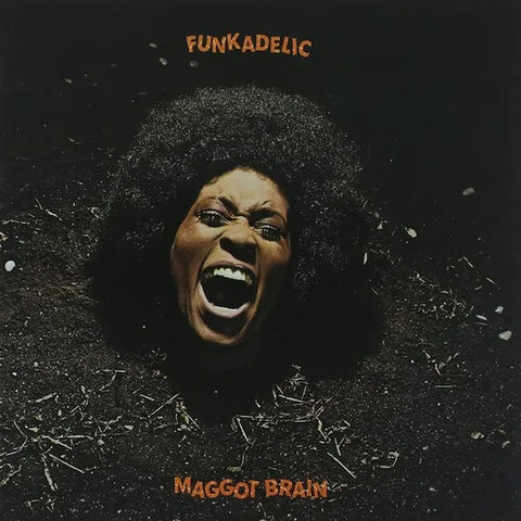 Funkadelic-Maggot Brain.