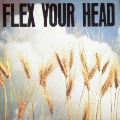 Flex Your Head-V/A - Skateboards Amsterdam - 1